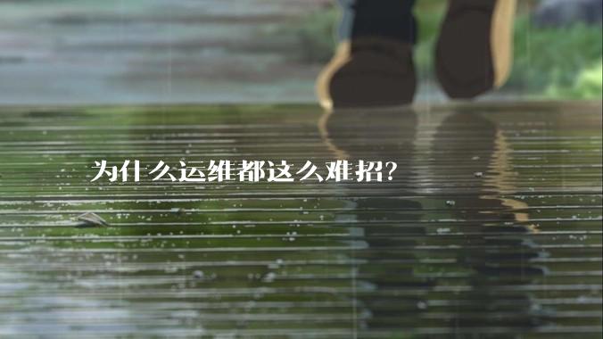 为什么运维都这么难招？